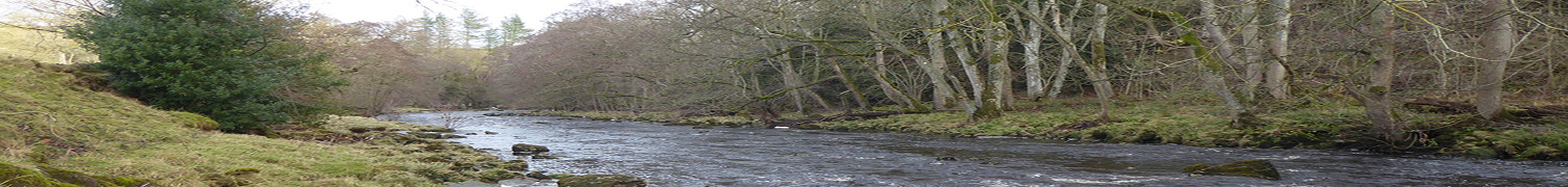River Greta at Brignall