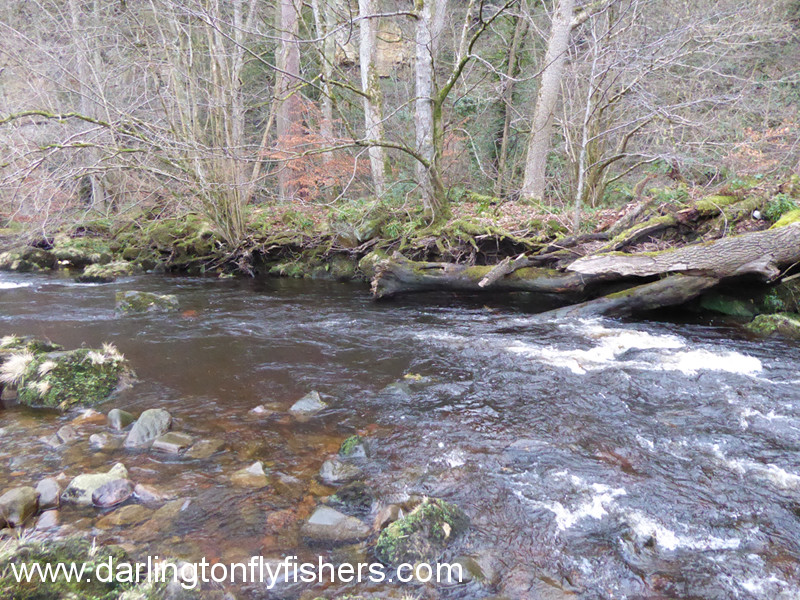 Bridge Beat on the River Greta
